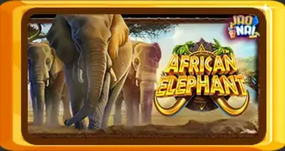 African Elephant