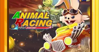 Animal Racing