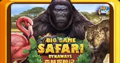 Biggamesafari