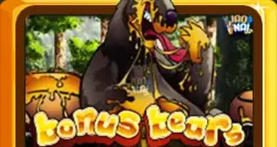 Bonusbear