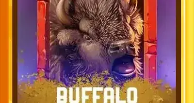 Buffalo Hunter