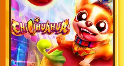 Chilihuahua