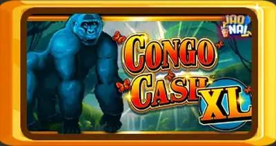 Congo Cash XL