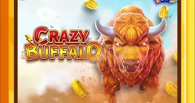Crazy Buffalo