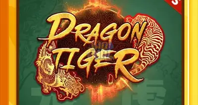 Dragon Tiger 3