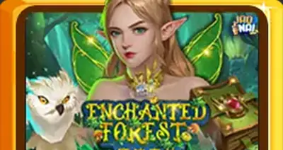 Enchantedforest