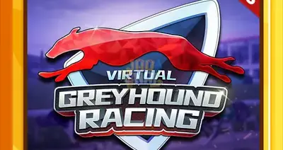Km Virtual Greyhound Racing
