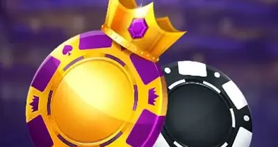 Mega Rise