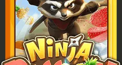 Ninja Raccoon Frenzy V3