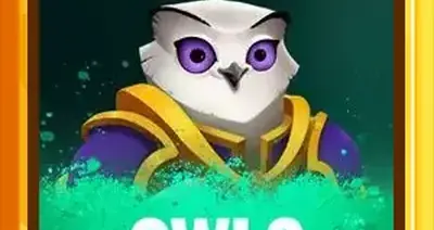 Owls