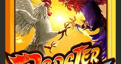 Rooster Rumble V3