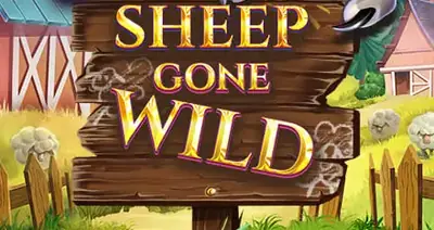 Sheep Gone Wild