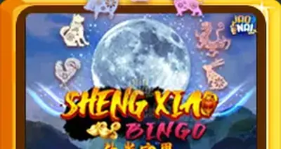 Shengxiaobingo