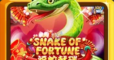 Snakeoffortune