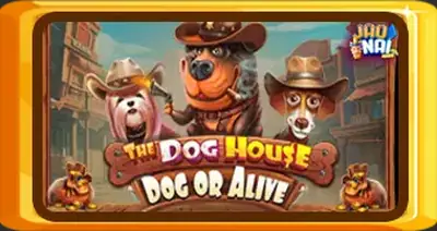 The Dog House Dog Or Alive