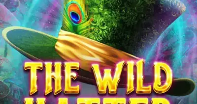The Wild Hatter