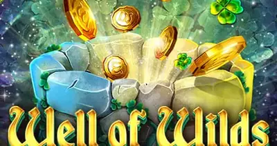 Wellofwildsmegaways