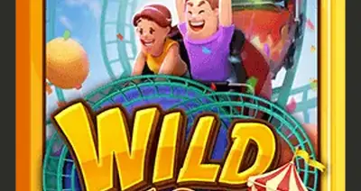 Wild Coaster V3