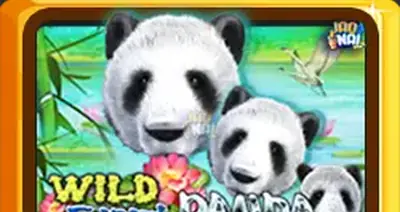Wildgiantpanda