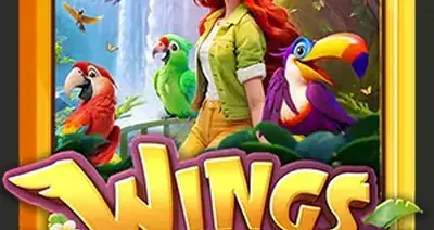 Wings of Iguazu V3