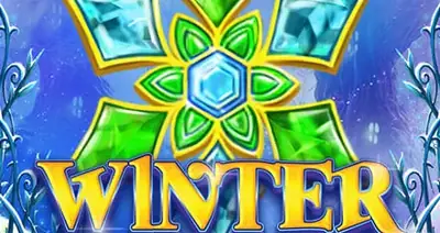 Winter Wonders